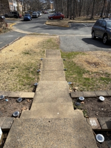 Yousufzai, Shugofa_Daycare Photo4